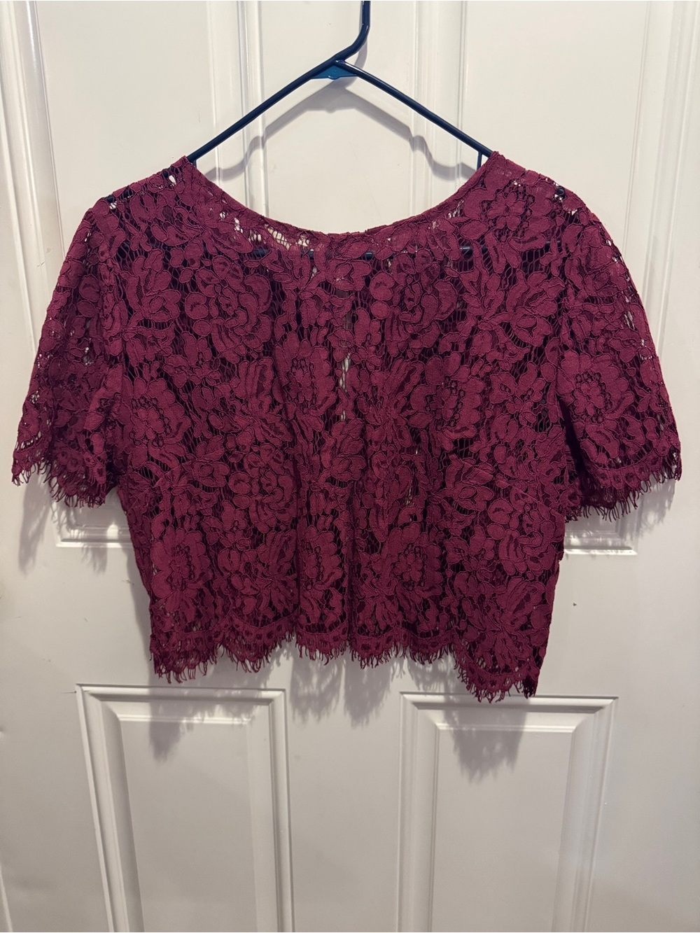 Jenny Yoo Burgundy Floral Lace Crop Top